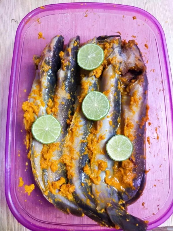 Ikan Lele Marinasi